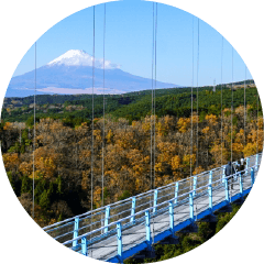 静岡県三島市・長泉町