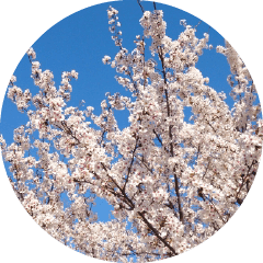 山梨県中央市・昭和町